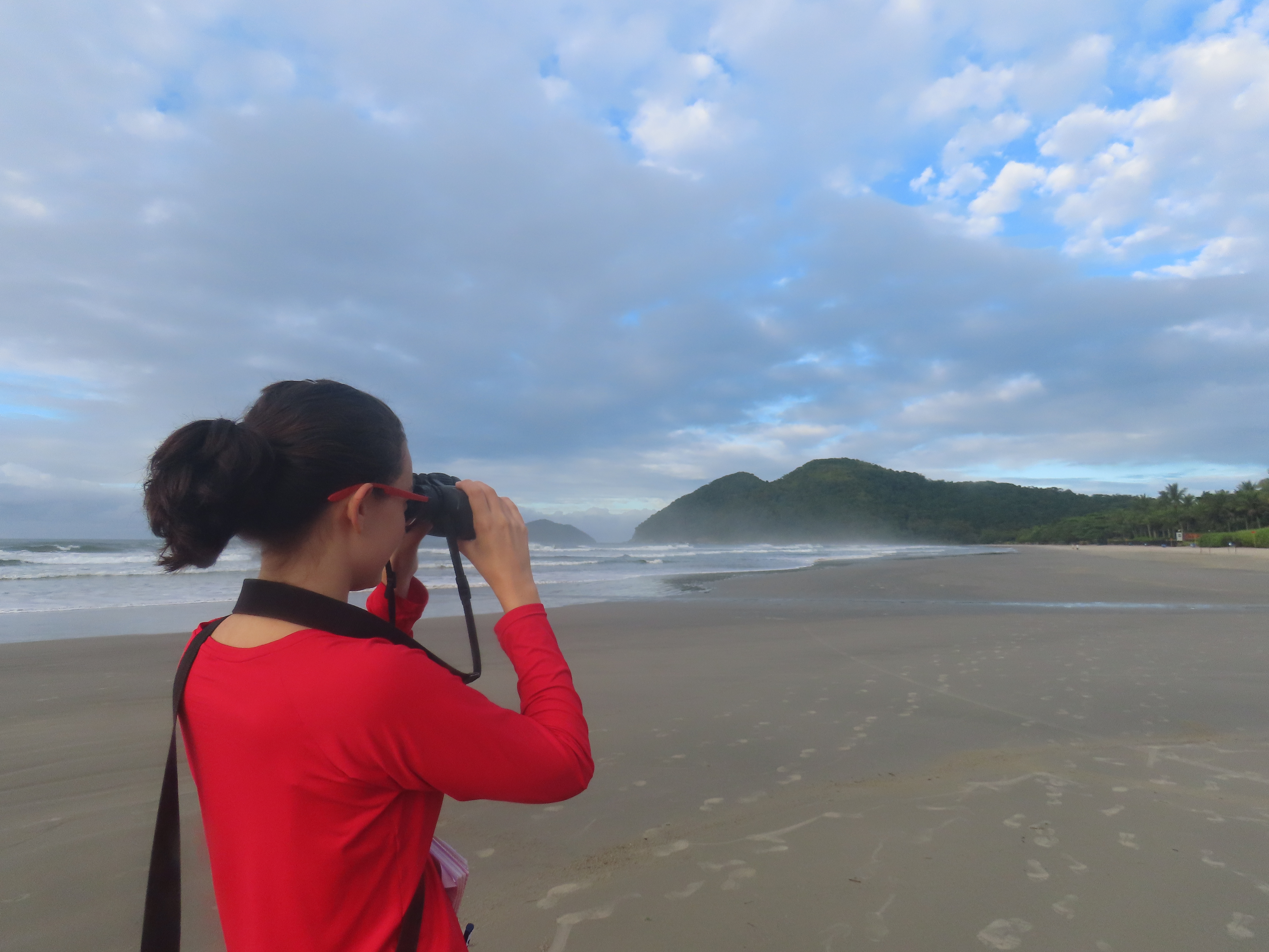 observando as aves